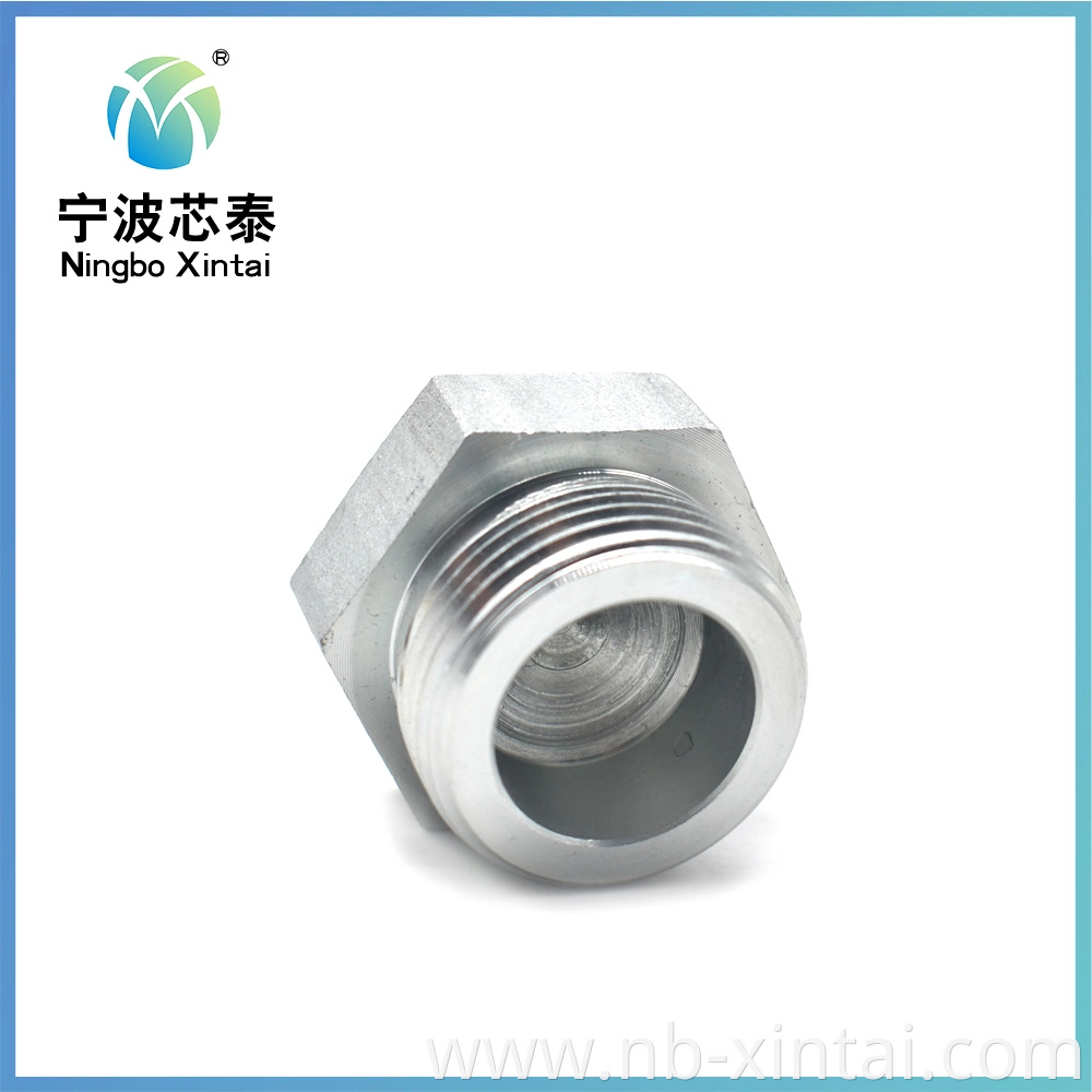 OEM Factory Male Bsp Hex Socket End Cap Plug Fitting Coupler Connector Adapter
